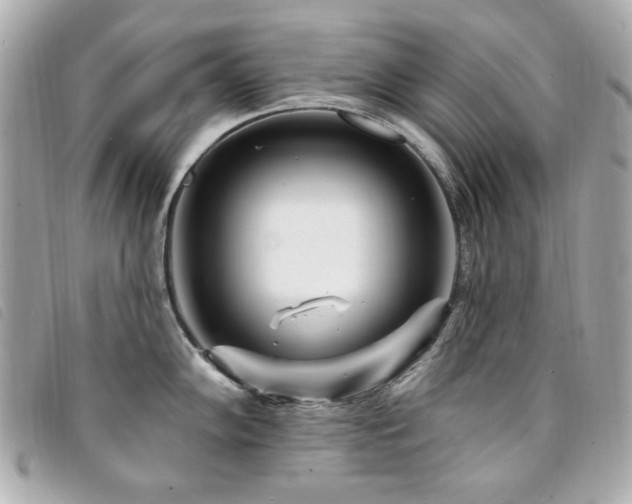 X0000094231102200710261251