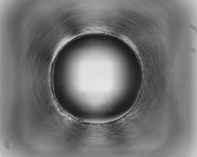 X0000094231104200710261251