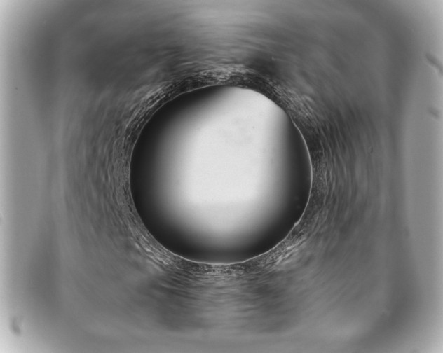 X0000094231105200710261251