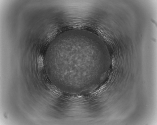 X0000094231106200710261251
