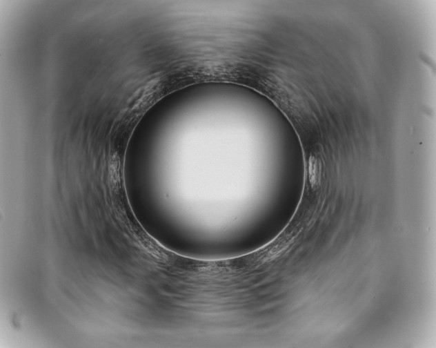 X0000094231107200710261251