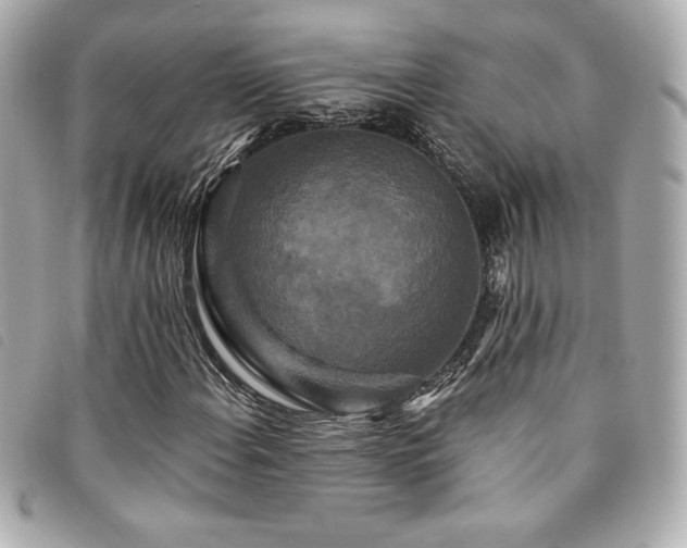 X0000094231108200710261251