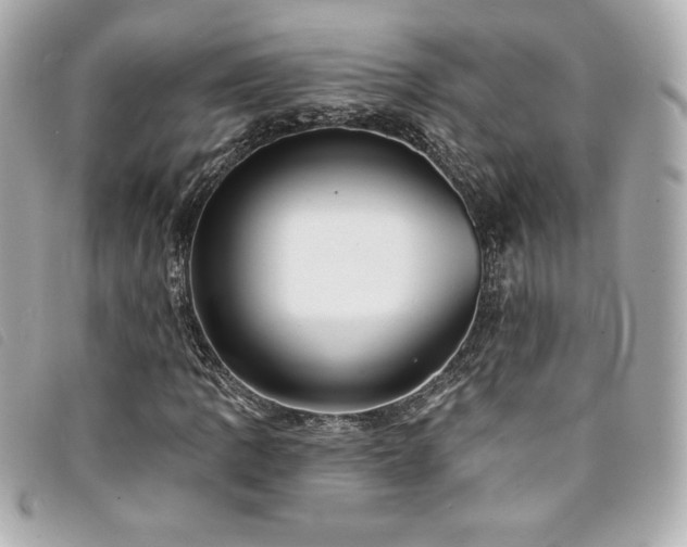 X0000094231109200710261251