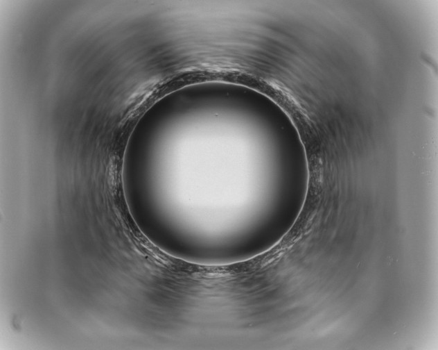 X0000094231110200710261251