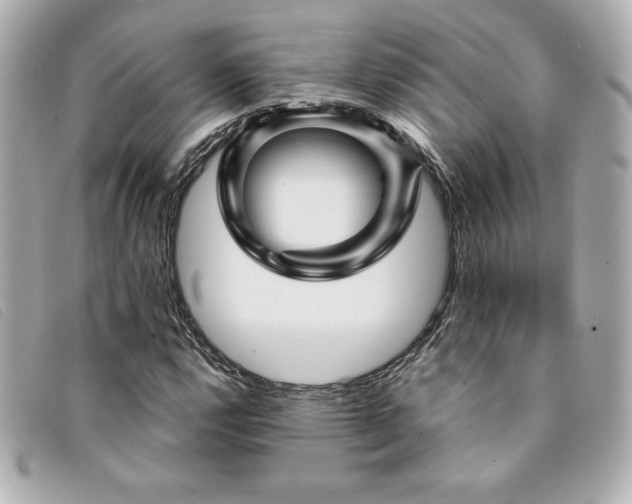 X0000094231112200710261251