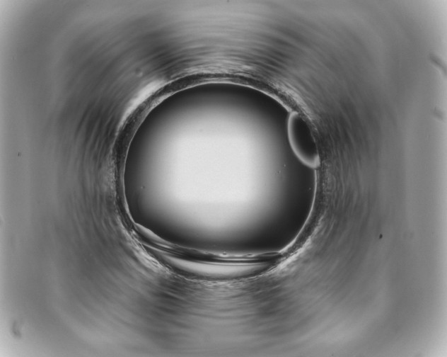 X0000094231114200710261251