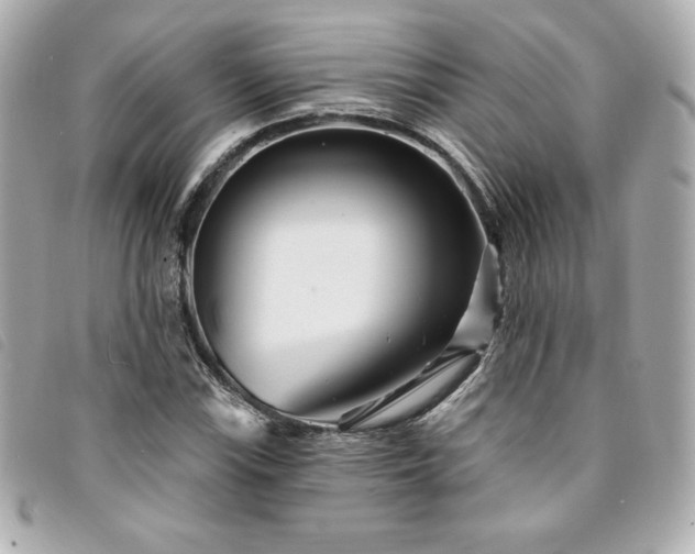X0000094231115200710261251