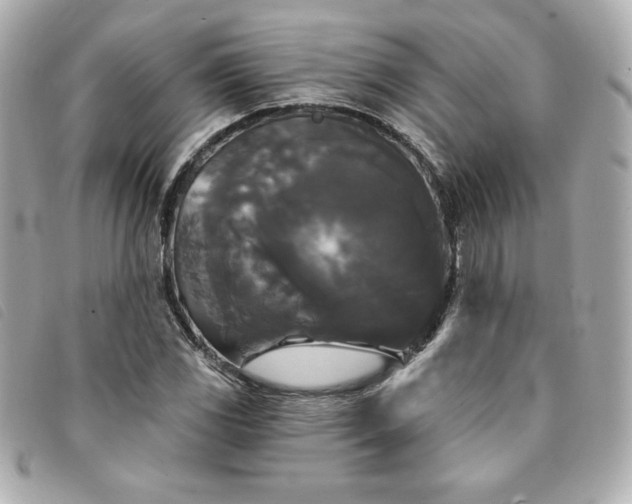 X0000094231117200710261251
