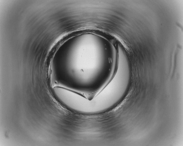 X0000094231118200710261251