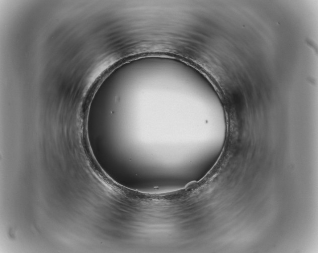 X0000094231119200710261251