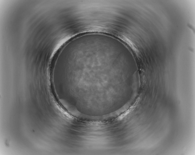 X0000094231120200710261251