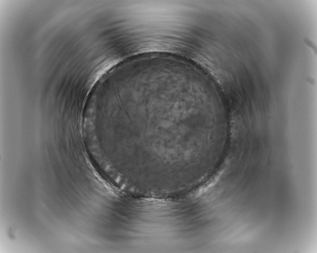 X0000094231121200710261251