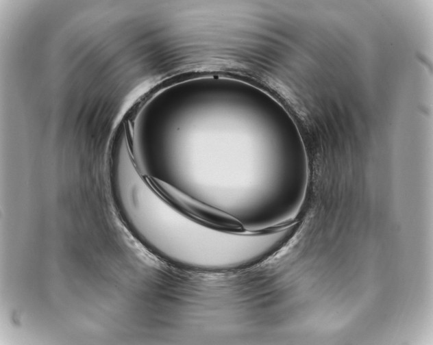 X0000094231122200710261251