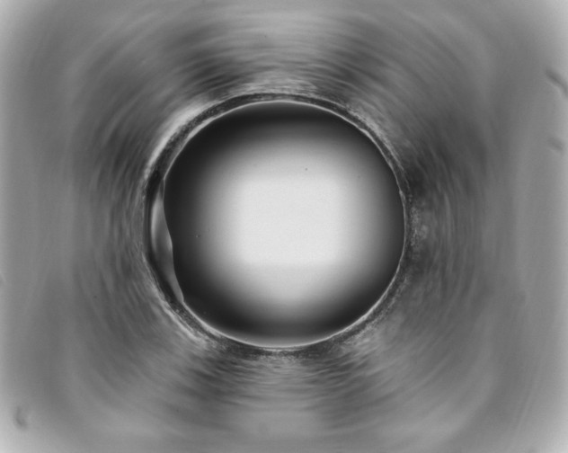 X0000094231123200710261251