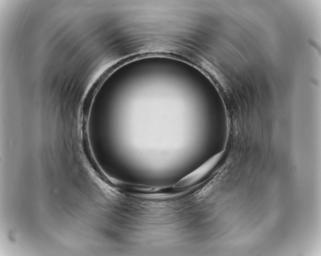 X0000094231124200710261251