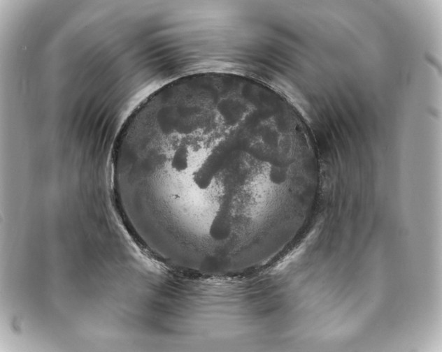 X0000094231125200710261251