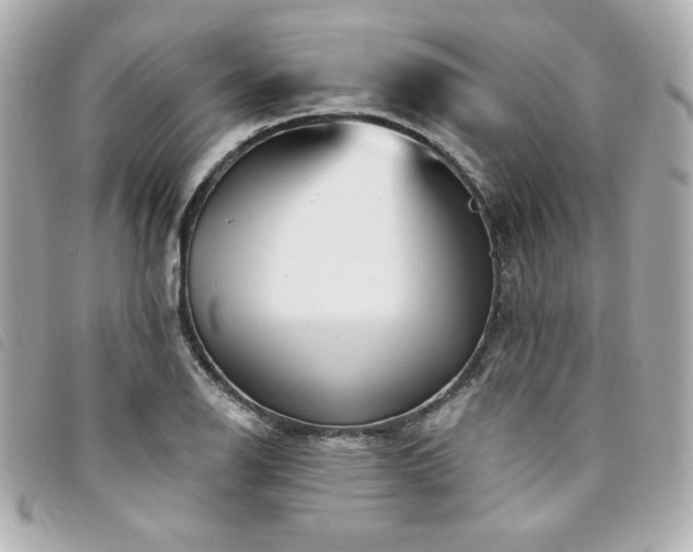 X0000094231126200710261251