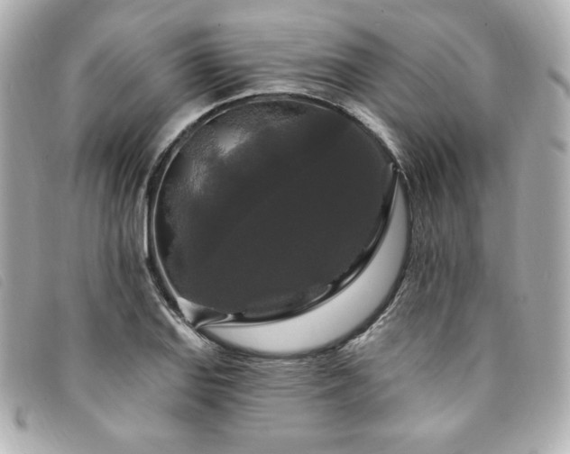 X0000094231127200710261251