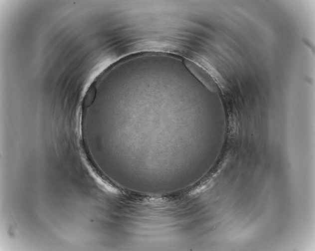 X0000094231128200710261251
