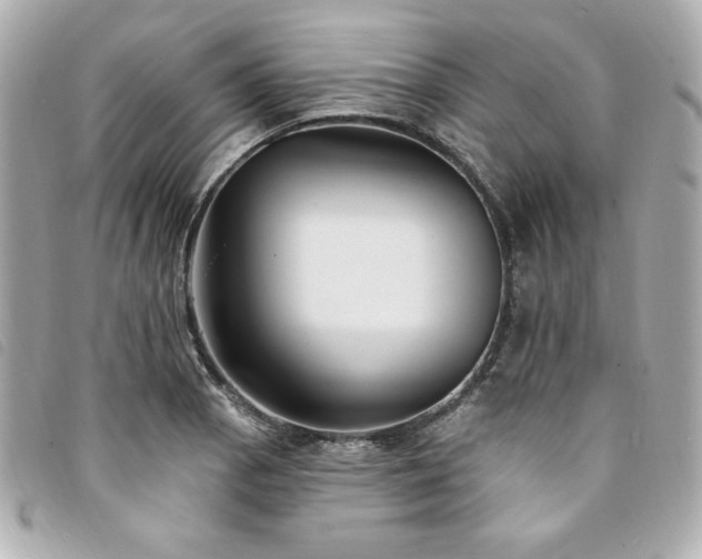 X0000094231129200710261251
