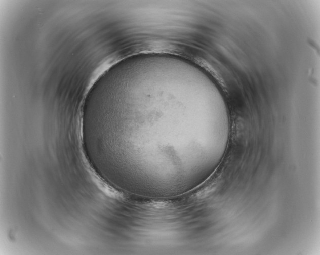 X0000094231130200710261251