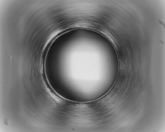 X0000094231131200710261251