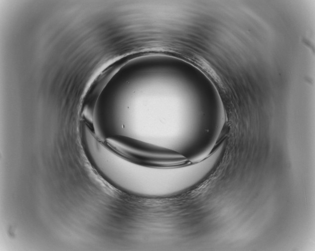 X0000094231132200710261251