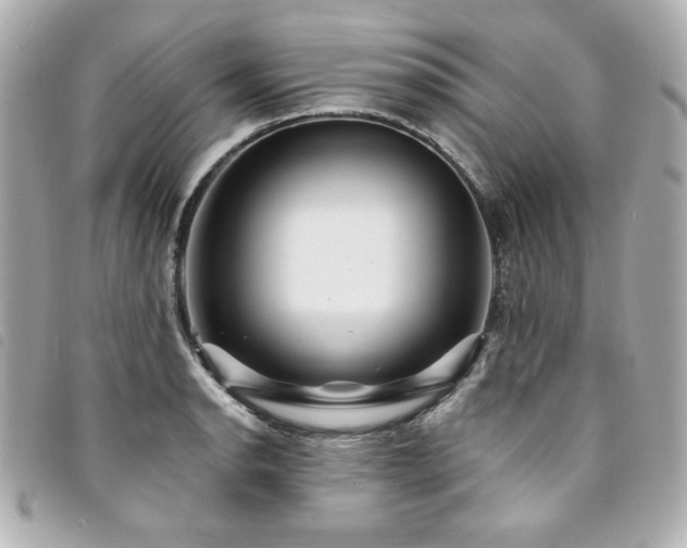 X0000094231134200710261251