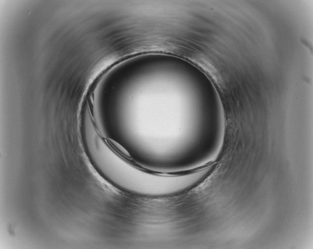 X0000094231135200710261251