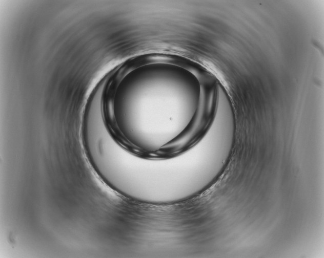 X0000094231136200710261251