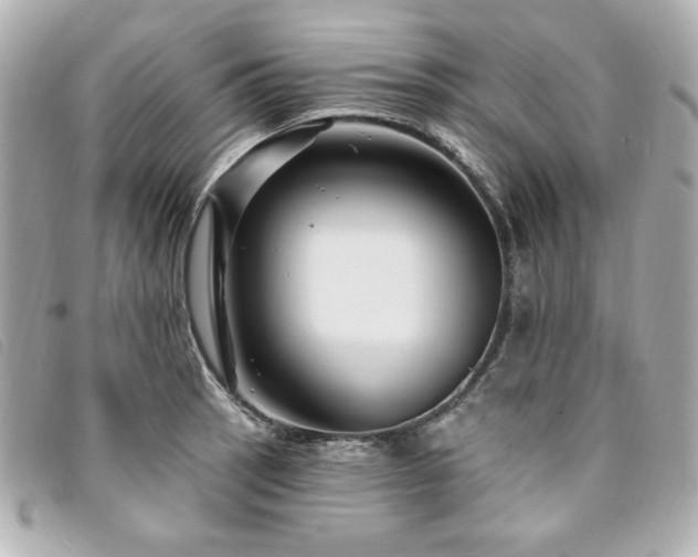 X0000094231137200710261251
