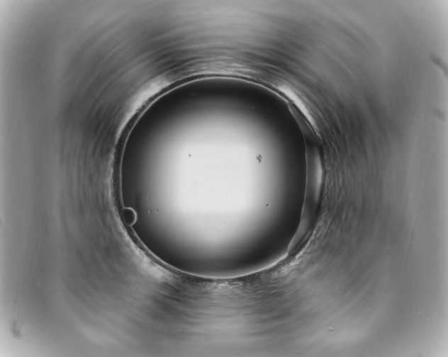 X0000094231139200710261251