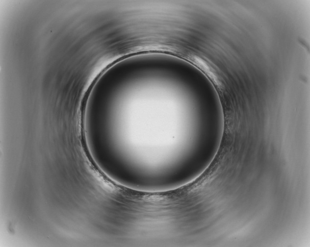 X0000094231140200710261251