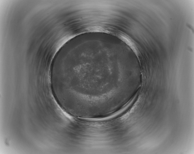 X0000094231141200710261251