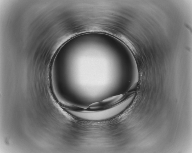 X0000094231142200710261251
