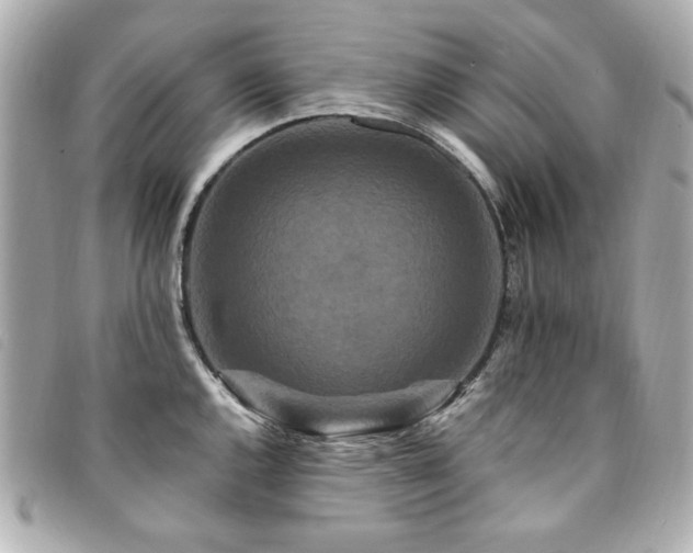 X0000094231144200710261251