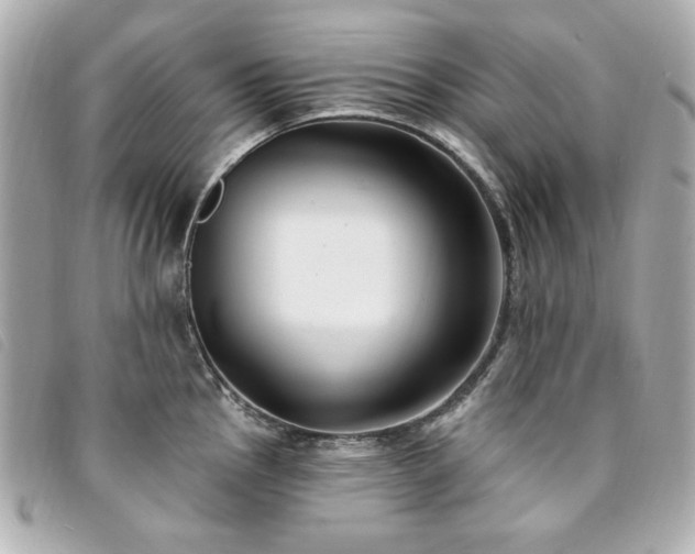 X0000094231145200710261251