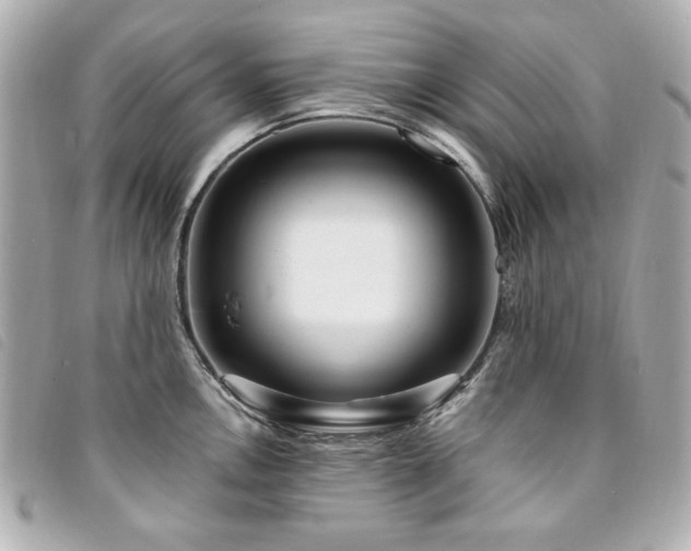 X0000094231146200710261251