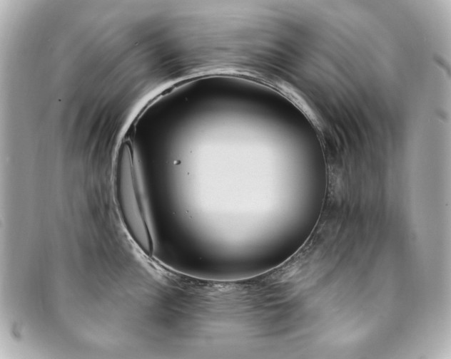 X0000094231148200710261251