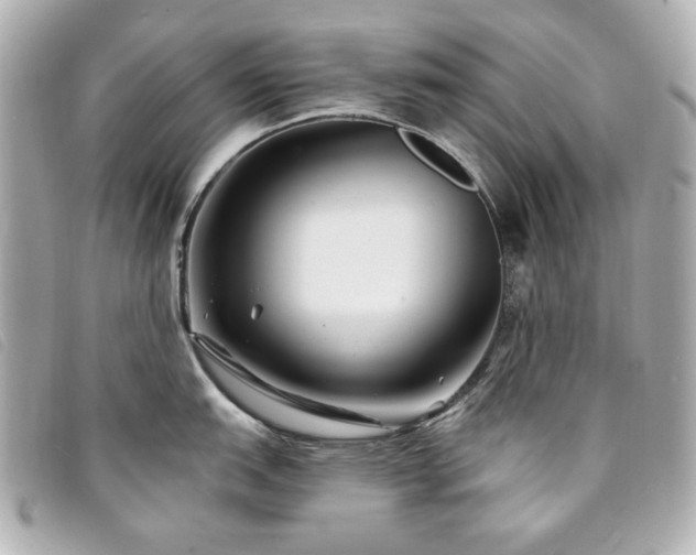 X0000094231151200710261251