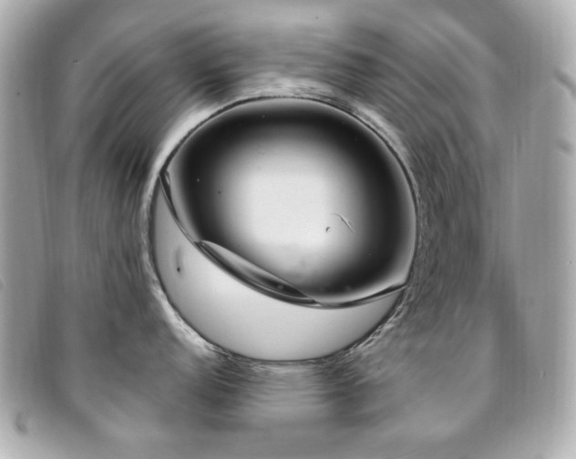 X0000094231152200710261251
