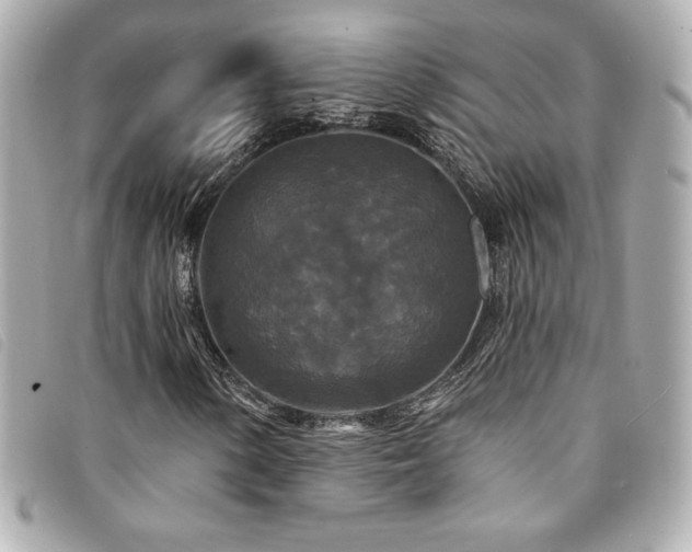X0000094231154200710261251