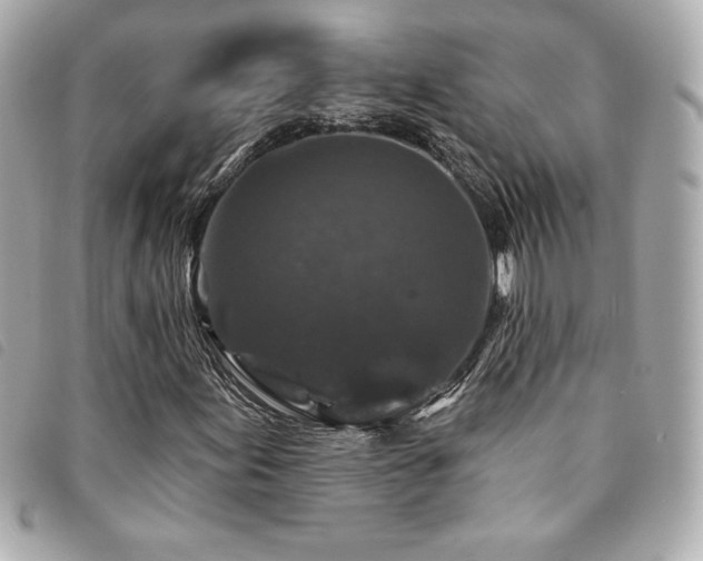 X0000094231155200710261251