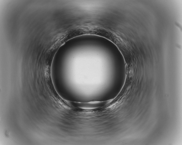 X0000094231156200710261251