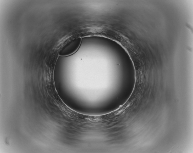 X0000094231158200710261251
