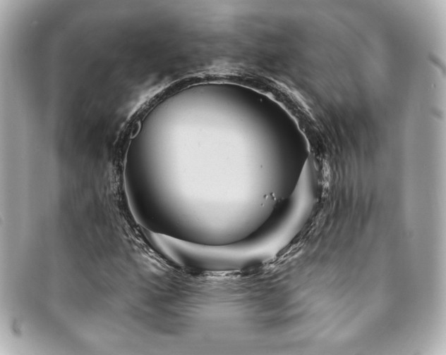 X0000094231160200710261251