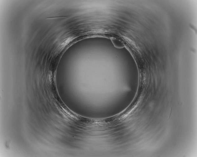 X0000094231161200710261251