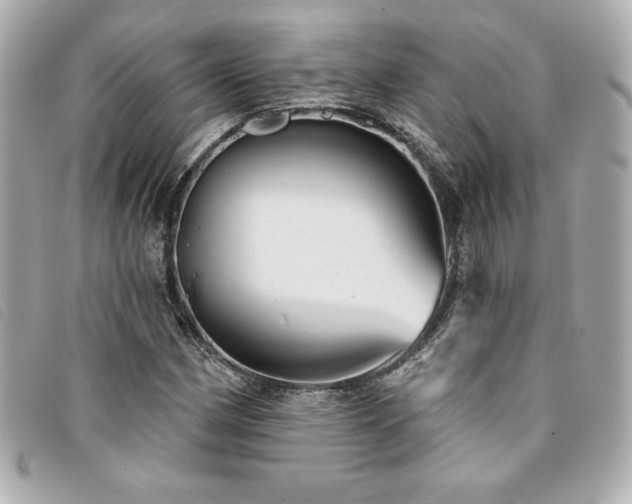 X0000094231162200710261251