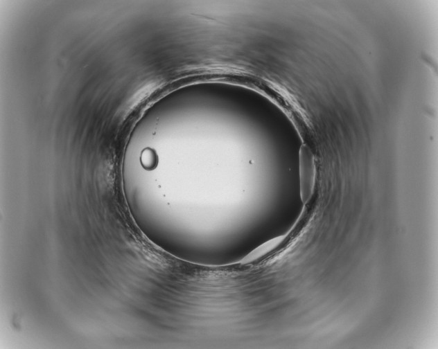 X0000094231163200710261251