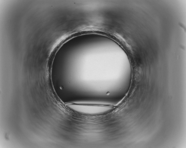 X0000094231167200710261251